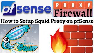 pfsense squid proxy configuration step by step pfsense squid pfsense squid transparent proxy https [upl. by Gelasias416]