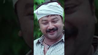 Watch 👆 Manassinakkare Movie Scenes manassinakkare jayaram nayanthara sheela innocent shorts [upl. by Shanks317]