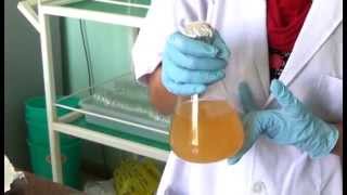 Trichoderma Production [upl. by Ilaw]