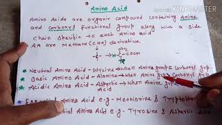 Amino acids easily explainedHindi [upl. by Farrison]