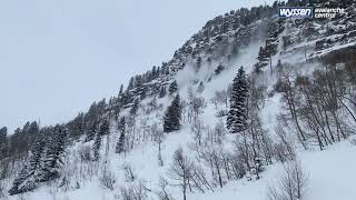 Colorado Department of Transportation  Avalanche Control Feb 23 [upl. by Daraj]