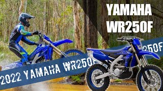 2022 Yamaha WR250F Specs [upl. by Elene]