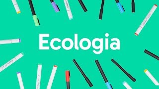 ECOLOGIA CADEIA ALIMENTAR BIOMAS E RELAÇÕES ECOLÓGICAS  QUER QUE DESENHE [upl. by Hollah981]