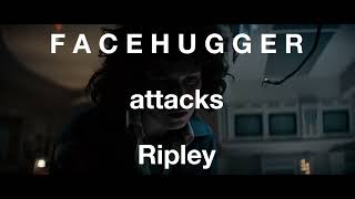 Facehugger attacks Ripley in Alien [upl. by Enilada960]