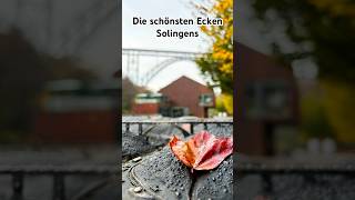 Die schönsten Ecken von Solingen Highlights solingen shorts wanderung [upl. by Zimmer]