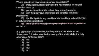 Why is genetic polymorphism important to evolution [upl. by Adrianna]