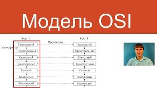 Модель OSI  Курс quotКомпьютерные сетиquot [upl. by Ellehsat]