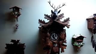 My Cuckoo Clock Collection [upl. by Adnovad]