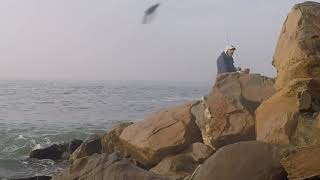 Opaleye Fishing at Palos Verdes 12222018 [upl. by Enovaj]