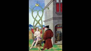 Mysterium Coniunctionis by Carl Jung  Presented by Phoenix Heritage  Part 1 [upl. by Archaimbaud]