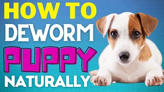 How To Deworm a Puppy Naturally – Best Home Remedies Hacks  Smart Dog Mom [upl. by Amlet165]