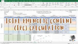 Total Phenolic Content TPC Calculation in Microsoft Excel  StepbyStep Beginner Tutorial [upl. by Buddie]