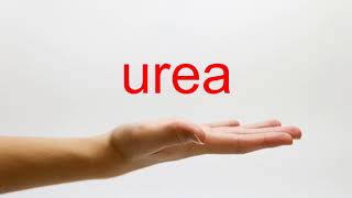 How to Pronounce urea  American English [upl. by Ranzini126]