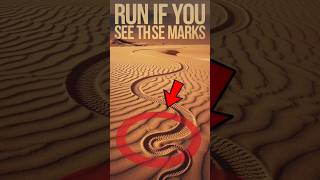 Run If You See These Marks ANYWHERE 😨 shorts viralvideo [upl. by Lamond416]