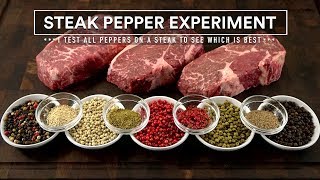 Which PEPPER is BEST for STEAKS The STEAK PEPPER Experiment [upl. by Innep]