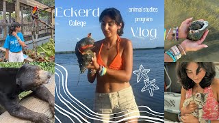 Eckerd College Animal Studies Program Vlog [upl. by Latterll]