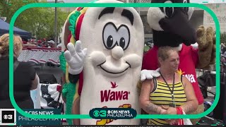 Philadelphia celebrates Wawa Hoagie Day [upl. by Anehsuc]