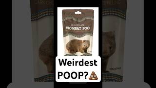 Weirdest poop 💩 funny shorts [upl. by Gnep]