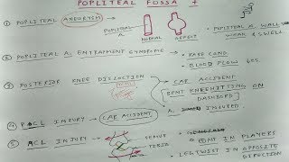 Popliteal fossa  3 Clinicals  TCML [upl. by Nnire]