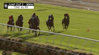 Flemington Jump Outs 25 October 2024 Jump Out 2 [upl. by Leiria]