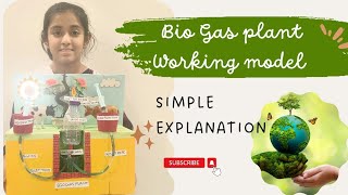 Bio Gas plant working Model simple explanation gobar gas  renewable energy [upl. by Edlitam]