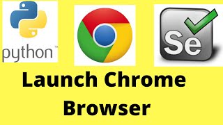 How to launch Chrome browser in Selenium Webdriver Python [upl. by Erimahs]