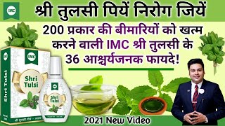 Shri Tulsi Ke Fayde  IMC Shri Tulsi Benefits In Hindi  श्री तुलसी के 36 महत्वपूर्ण फायदे। [upl. by Nalani]