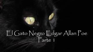 El Gato Negro  Edgar Allan Poe Parte 1 AudioLibro [upl. by Gladi136]