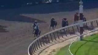 Point Given  2001 Belmont Stakes [upl. by Atiuqehs53]