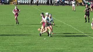 241019 Intermediate Camogie Co Final Bunclody vs Cloughbawn 1st Half [upl. by Doley709]