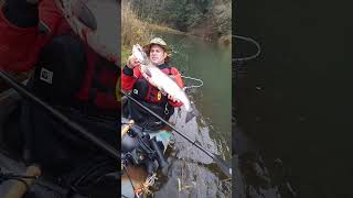 Kayak Fishing Cowlitz River Coho ‎Salmon November ‎2016 [upl. by Nortna448]