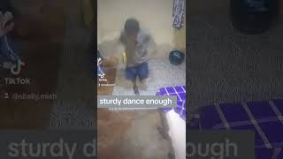 Sturdy dance at home dance musicgenre [upl. by Bella]