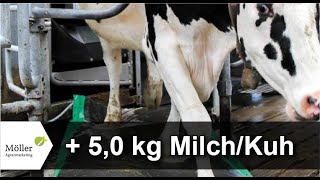 50 kg MilchKuh durch MS AutoHoofClean Klauenmatte und MelkroboterProfiTraining [upl. by Neerak]