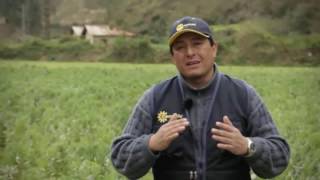 Importancia de la Meteorología en la Agricultura [upl. by Schulein]