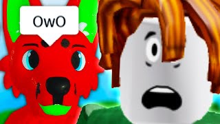 Roblox Furries Are Strange [upl. by Bozovich]