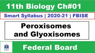 Peroxisomes and Glyoxysomes Class 11 Biology Federal Board Ilmi Stars Academy [upl. by Eiramit35]