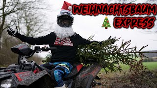 Weihnachtsbaum mit dem Quad holen  Wie es mit der Scrambler weiter geht 🧐 [upl. by Feucht]