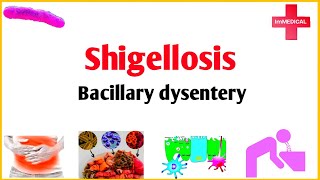 Shigellosisbacillary dysenteryetiologypathogenesis clinical manifestationsdiagnosis treatment [upl. by Ecikram26]