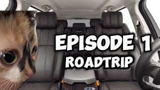 CAT MEMES FAMILY ROADTRIP COMPILATION [upl. by Anada855]