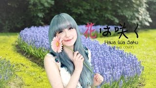 Jemma  Hana Wa Saku 花は咲くFlowers Will Bloom [upl. by Horatius]