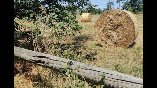 Metal Detector ritrovamenti tra ruderi e balle di fieno [upl. by Nnyletak]