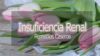 Insuficiencia Renal Remedios Caseros PREGUNTAS Y RESPUESTAS YOUTUBE [upl. by Conlin617]