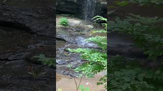 Moore Cove Falls Pisgah National Forest NC PisgahNationalForest MooreCoveFalls [upl. by Retsevel]