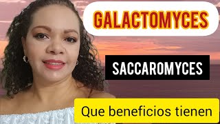 GALACTOMYCES  SACAROMYCES BENEFICIOS PARA LA PIEL [upl. by Dominus]