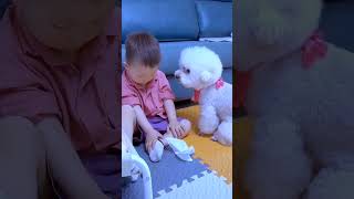 Dog Comforts Crying Child by Wiping Away Tears cutebaby doglover [upl. by Niroc143]