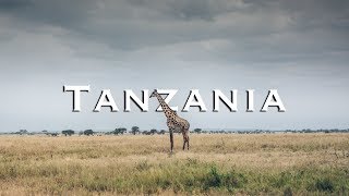 Great Africa Safari in Tanzania  Tarangire National Park [upl. by Einneb863]