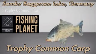 Fishing Planet Trophy Common Carp Sander Baggersee Lake Germany Guide [upl. by Calen]