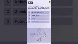 What Causes Hyperchloremic Metabolic Acidosis [upl. by Huberty]