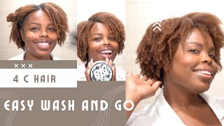 Easy Wash and Go for 4c Natural Hair  Quick Wash and Go Natural Hair Routine [upl. by Arbed]