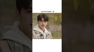 Love scenery kdrama love at first sight ❤️koreandrama lovestatus love shortvideo [upl. by Lainad]